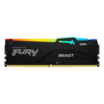 Ddr 5 Rgb Fury Beast 8