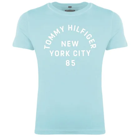 Camiseta Tommy Hilfiger Masculino 412 10