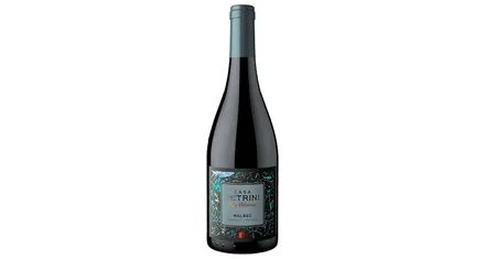 Vino Argentino Tinto Casa Petrini Roca Volcanica Malbec 750ml