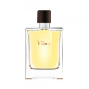 Hermes Terre Edt 100ml