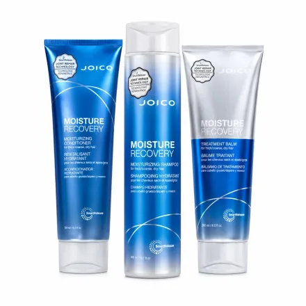 Joico Moisture Recovery KIT SH/CD/MASC Pequeno