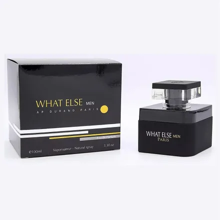 Ap Durand What Else Eau Parfum Men 100ml