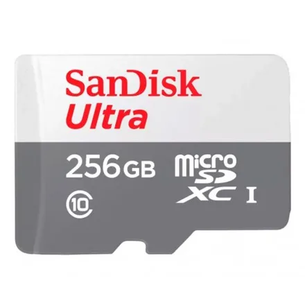 Cartao Sd Ultra C10 Sdsqunr 256GB