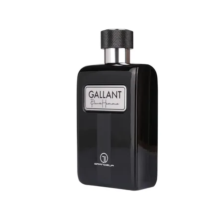 Grandeur Gallant Masculino Eau Parfum 100ml