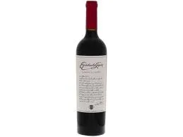 Vino Argentino Tinto Escorihuela Gascon Cabernet Sauvignon 750ml