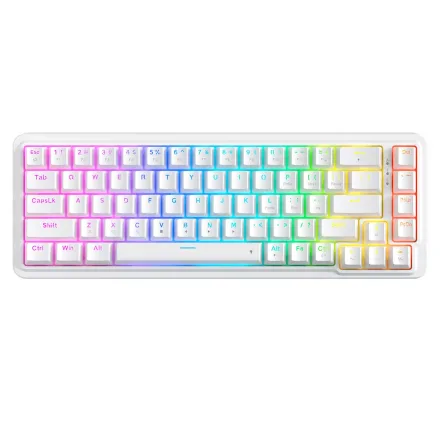 Teclado Gamer Redragon Rgb Layout 65