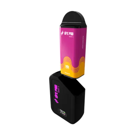 LIFE POD VAPER DESECHABLE ECO KIT II 10000 GRAPE HONEYDEW