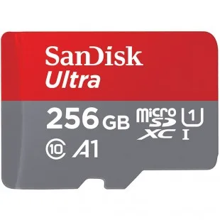 Cartao Microsd Ultra C10 Sdsquac Gn 6MA 256g 256GB
