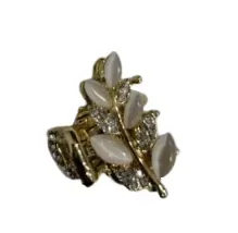 Hebilla 1 Strass Dorado