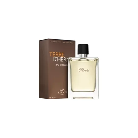 Hermes Terre Eau Toilette 100ml