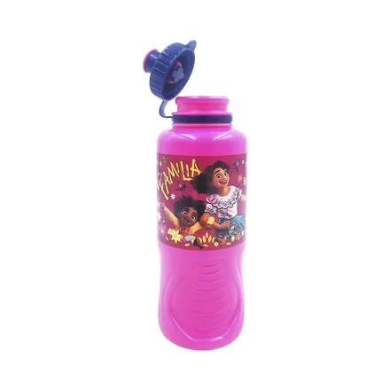 Botella Stor Disney Encanto 430ml