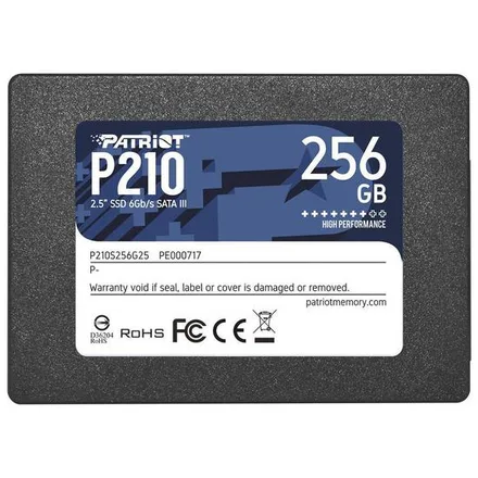 Patriot P210 256GB