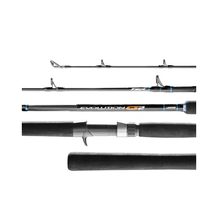 Vara Carretilla Marine Evolution GT2 C601 20 60 Lb