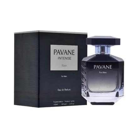 Elodie Roy Pavane Intense Masculino Eau Parfum 100ml