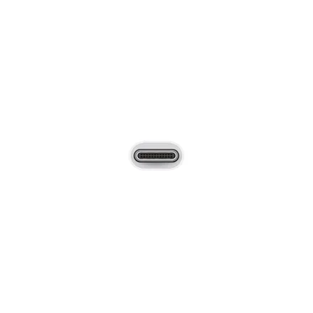 Apple Adaptador USB-C para USB MJ1M2AM/A Branco