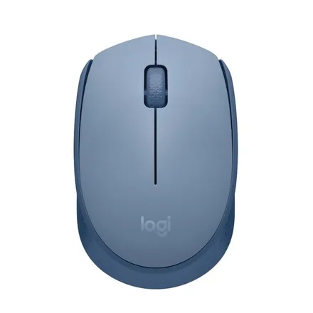Mouse M170 910