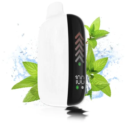 WAKA VAPER DESECHABLE NOVA 22000PUFFS FRESH MINT