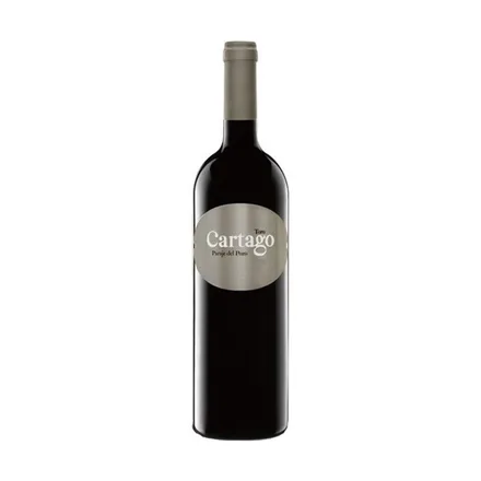 Vino Cartago San Roman Toro 2021 750ml