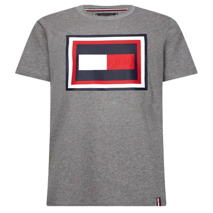 Camiseta Tommy Hilfiger Masculino P9W 00 Xl Fog Htr