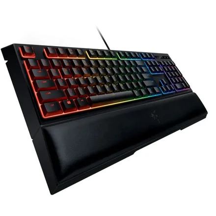 Teclado Ornata V2 RZ03 R311