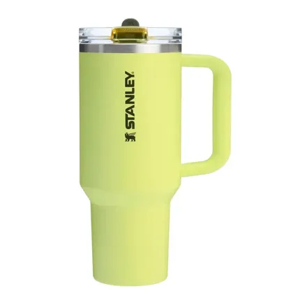 Stanley Quencher Protour 10 411