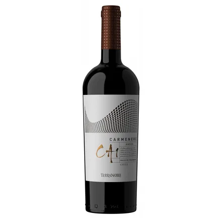 Vino Chileno Tinto Terranoble Andes CA1 Carmenere 750ml