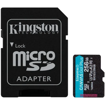 Cartao Sdcg 4 Sdxc Canvas Go Plus Classe 10 256GB