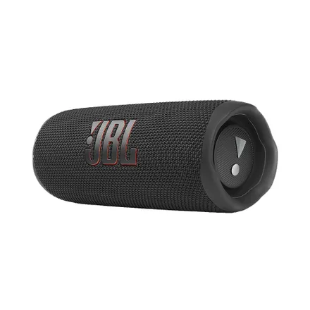 Speaker Flip 6