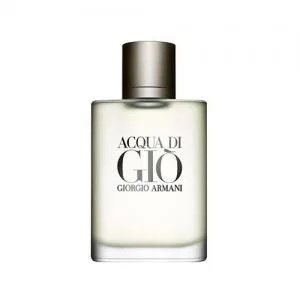Armani Acqua Di Gio Edt 100ml