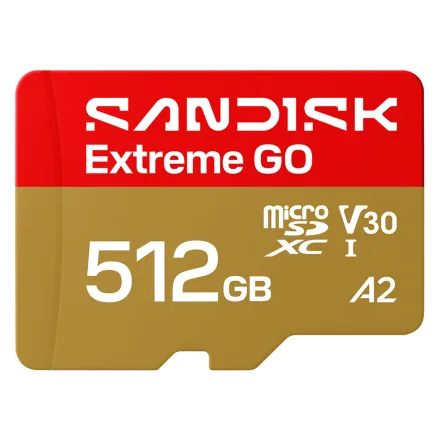 Cartao Sd Extreme Go Sdsqxgn 512g 512GB