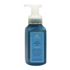 Sabonete Liquido Espuma Bath Body Works Crips Morning Air 259ml
