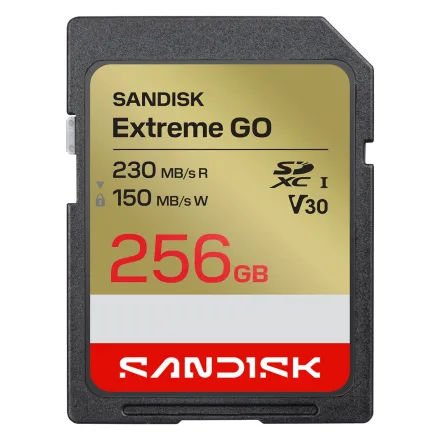 Cartao Sd Extreme Go Sdsdxgn Gncin 256g 256GB