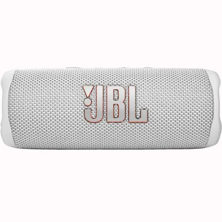 Speaker Flip 6