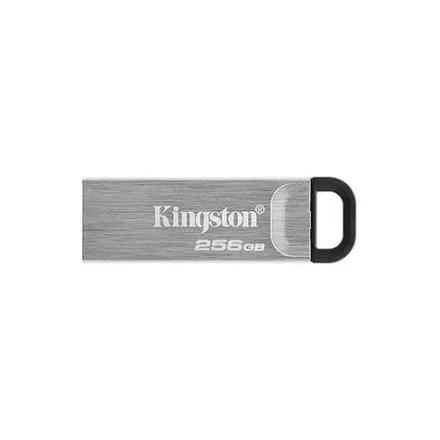 Pendrive Datatraveler Dtkn 256GB