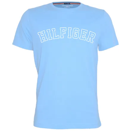 Camiseta Tommy Hilfiger Masculino 421L