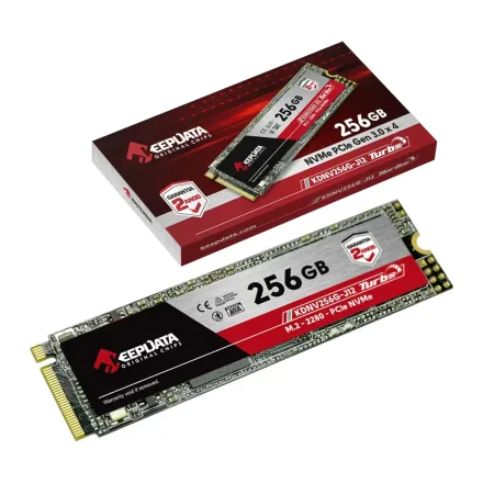2 Keepdata Pcie J12 256GB