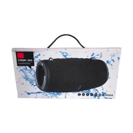 SPEAKER B XTEMRE