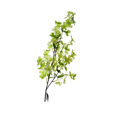 Planta Artificial Concepts 456