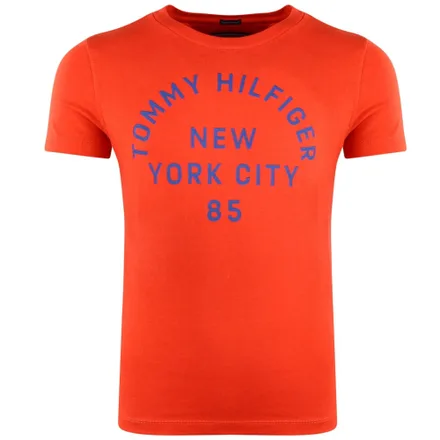 Camiseta Tommy Hilfiger Masculino 610 10