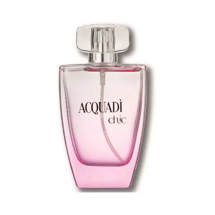 Chic Femme Edt 100ml