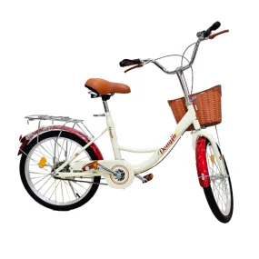 Bicicleta Dongjie Aro 20