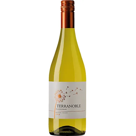 Vinho Terranoble Chardonnay 750ml
