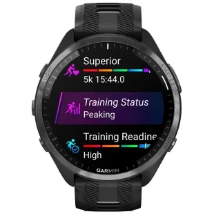 Forerunner 965 010 00