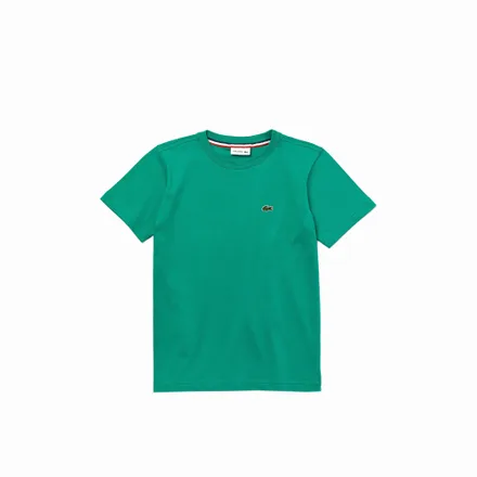 Camiseta Lacoste Polo Infantil Masculino Cnq 04A