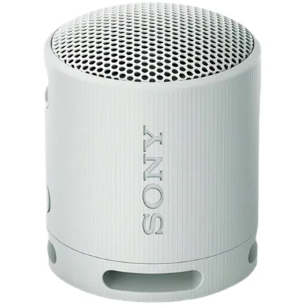 Speaker Portatil Sony SRS-XB100 - Gray