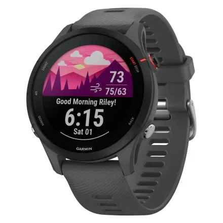 Smartwatch Forerunner 255 010 00 46mm