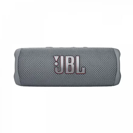 Speaker Flip 6