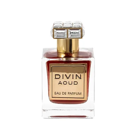 Fa Divin Aoud Edp 100ml
