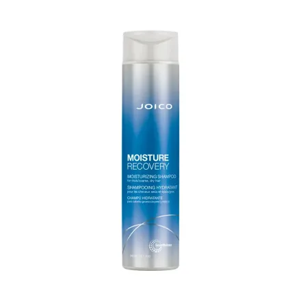 Shampoo Joico Moisture Recovery 300ml