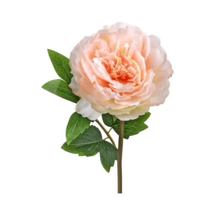 Flor Artificial Regency Mtf21682 Cut Peony Stem Peach 30 Cm